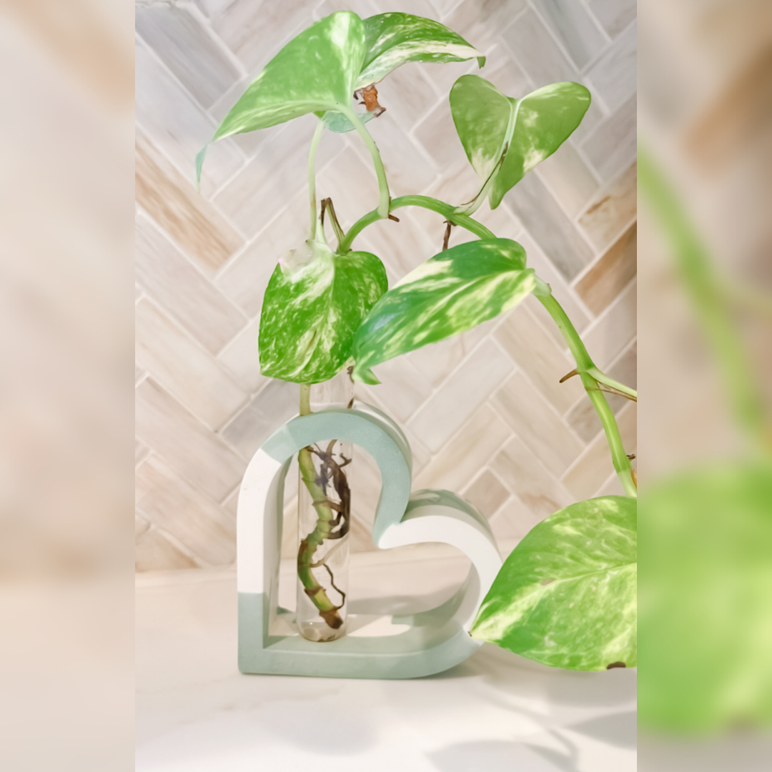 Heart Shaped Stem Vase Propagation Station image 2