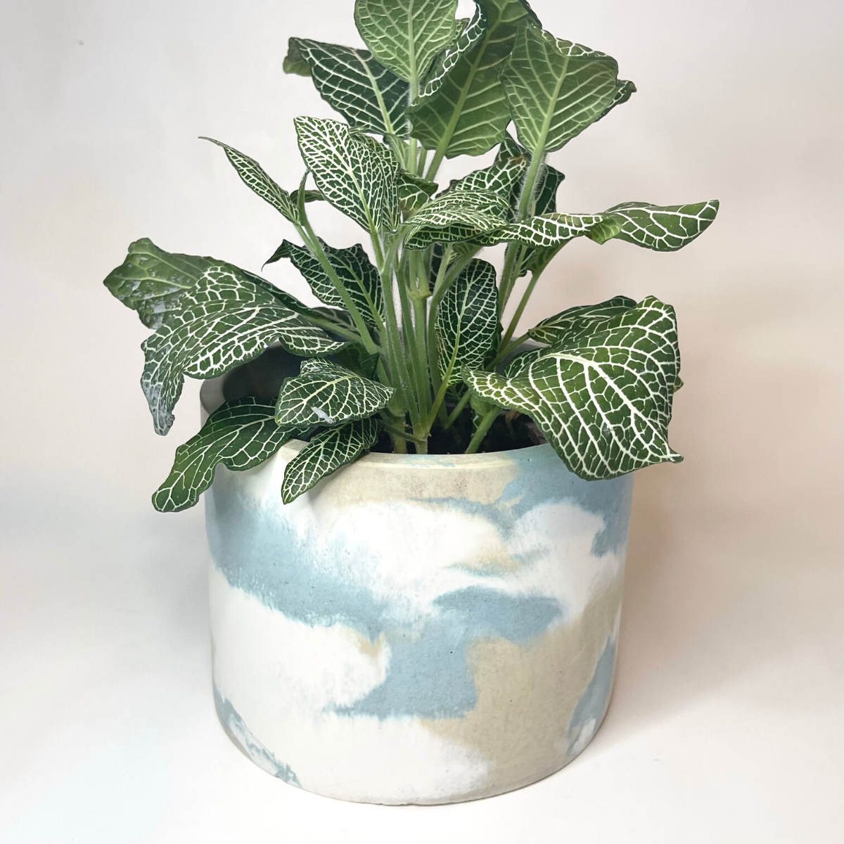 Marbleized Planter image 2