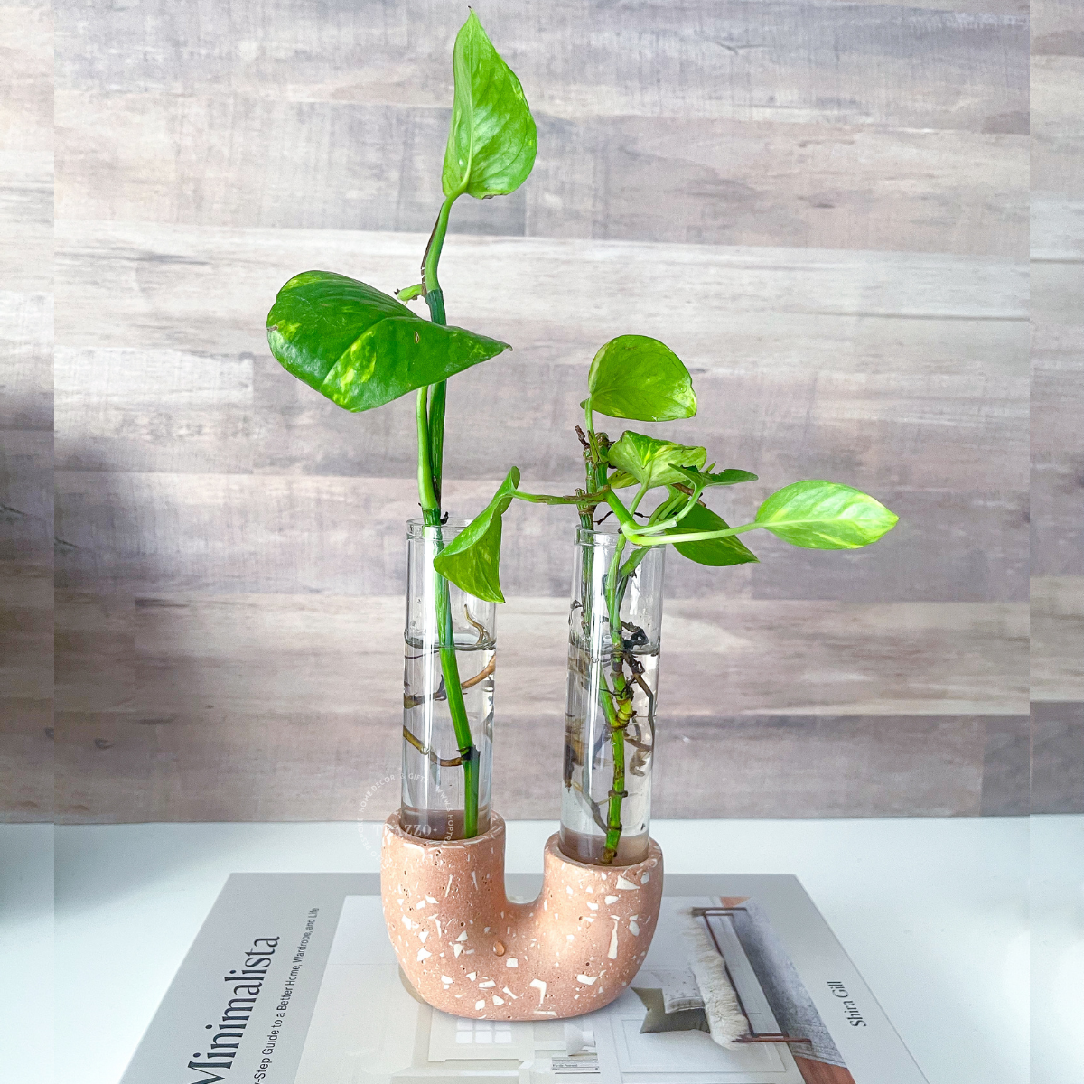 Neutral Terrazzo Propagation Station | Taper Candle Holder image 9