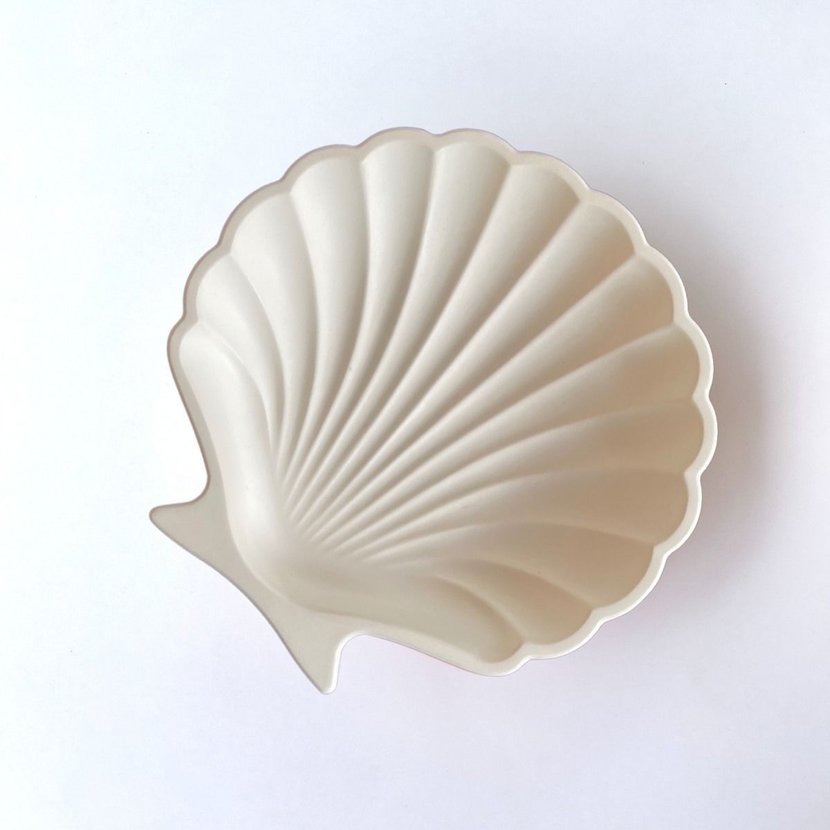 Snow Seashell Trinket Dish image 1