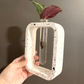 Stem Vase l Propagation Station image 2