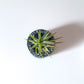 Terrazzo Tealight Candle Holder | Air Plant & Succulent Holder image 7