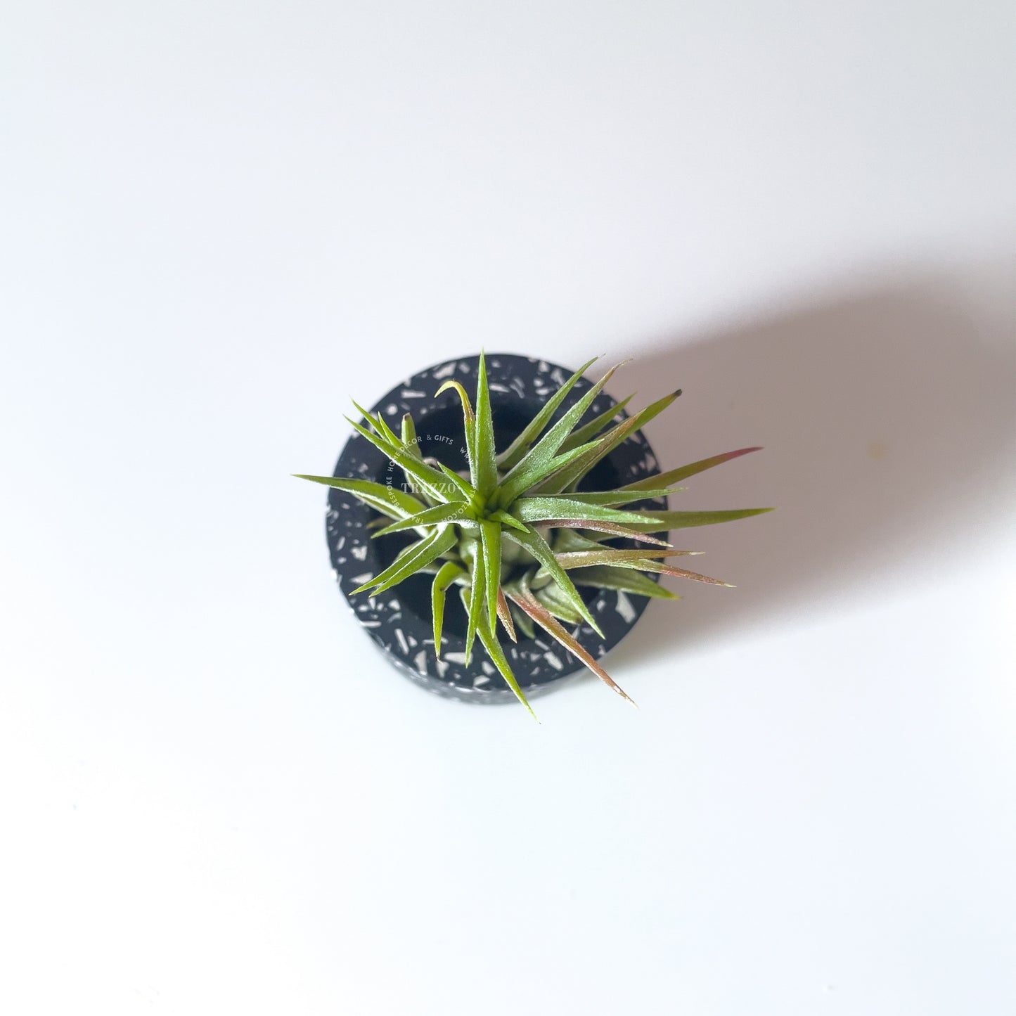 Terrazzo Tealight Candle Holder | Air Plant & Succulent Holder image 7
