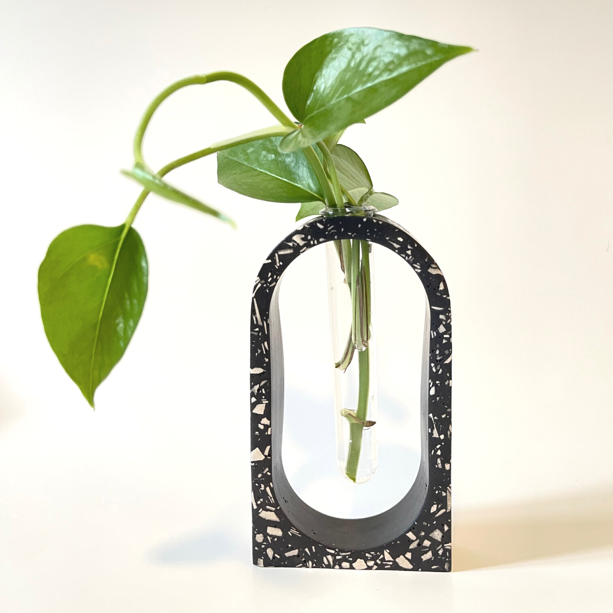 Terrazzo Bud Vase l Propagation Stand image 4