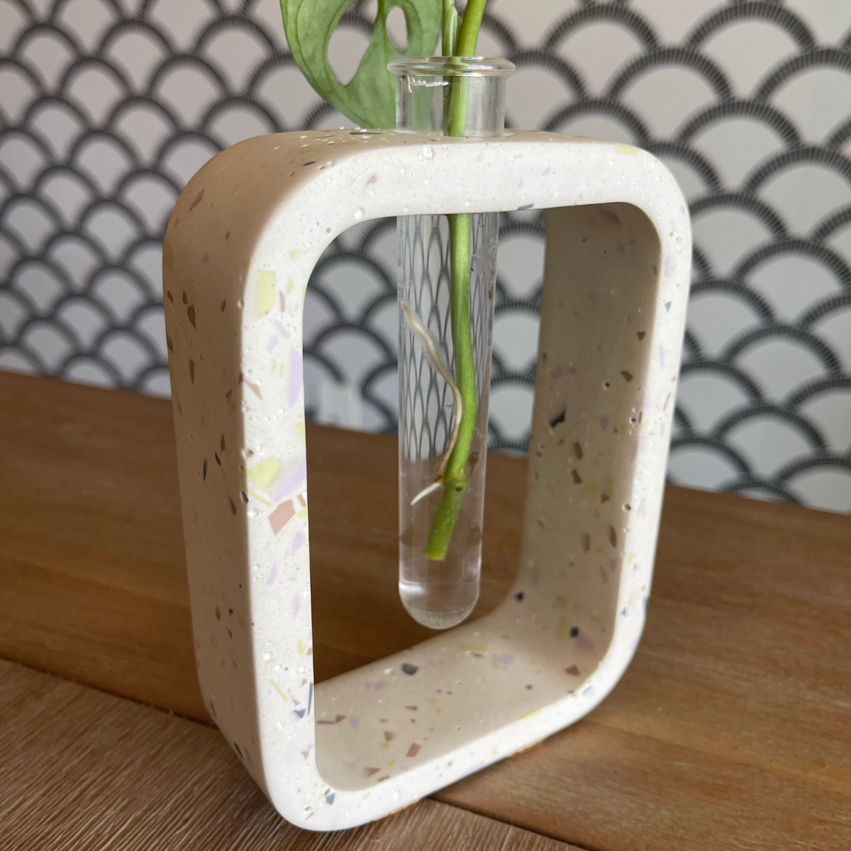 Stem Vase l Propagation Station image 5