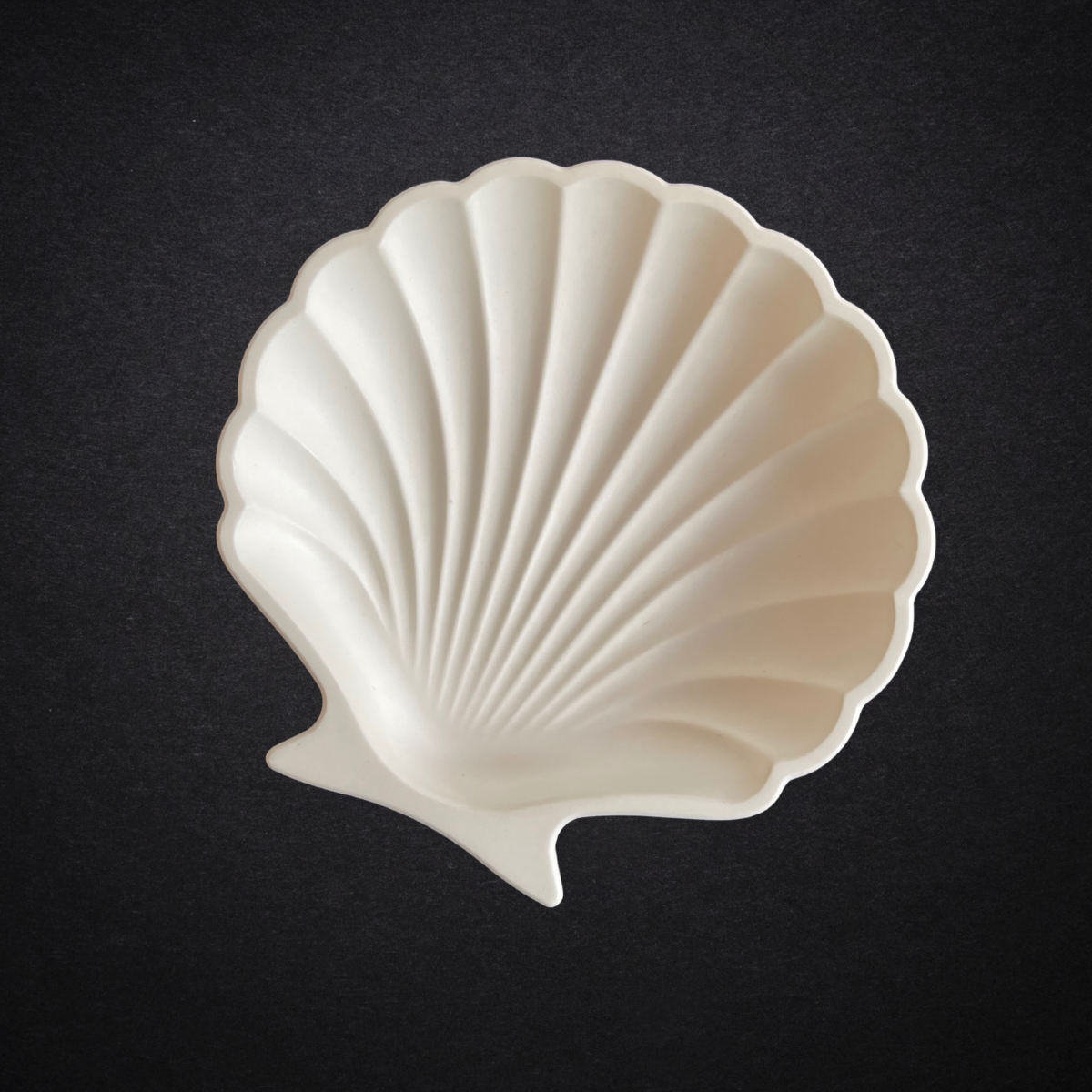 Snow Seashell Trinket Dish image 2