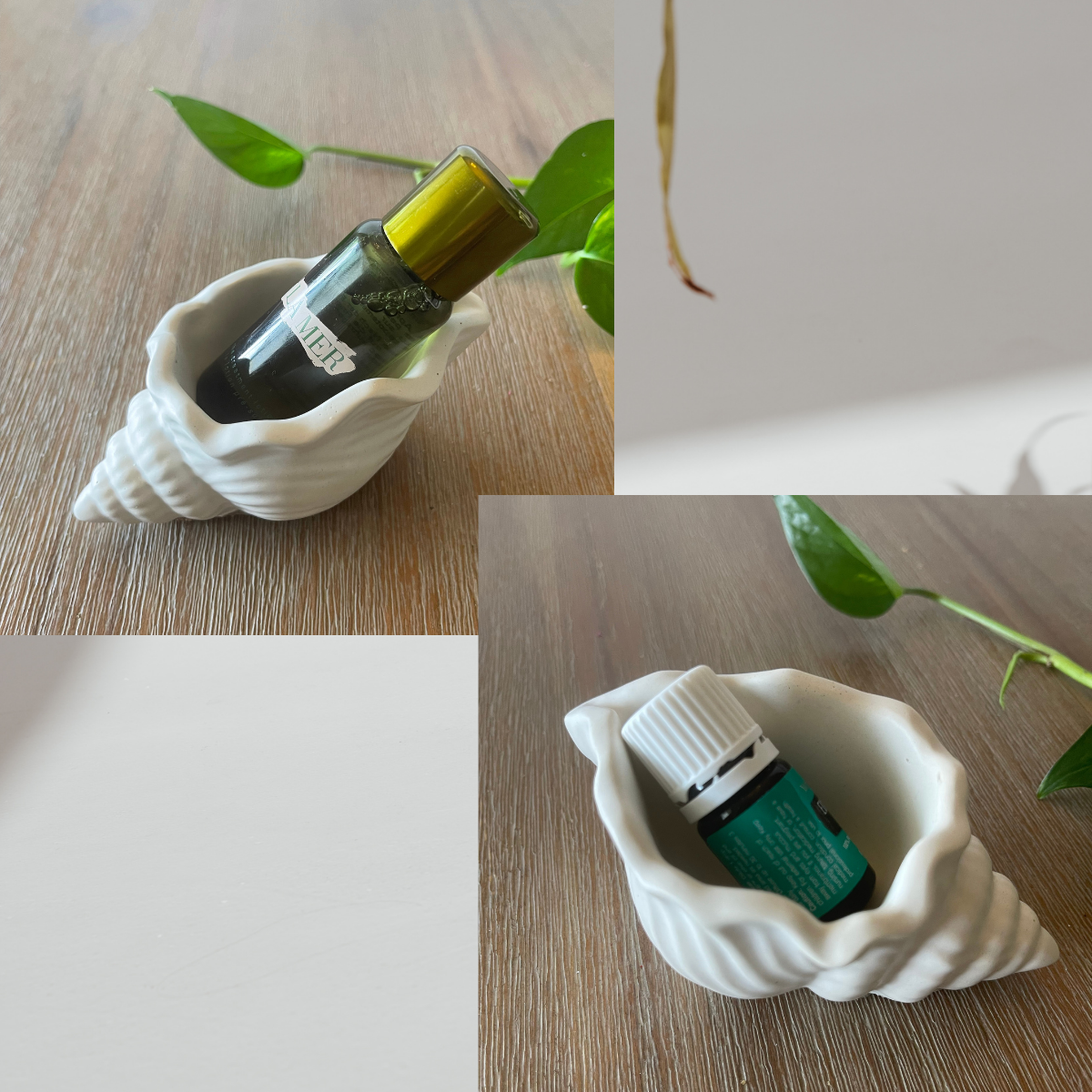 Conch Shell Trinket Dish image 3