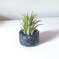 Terrazzo Tealight Candle Holder | Air Plant & Succulent Holder image 0