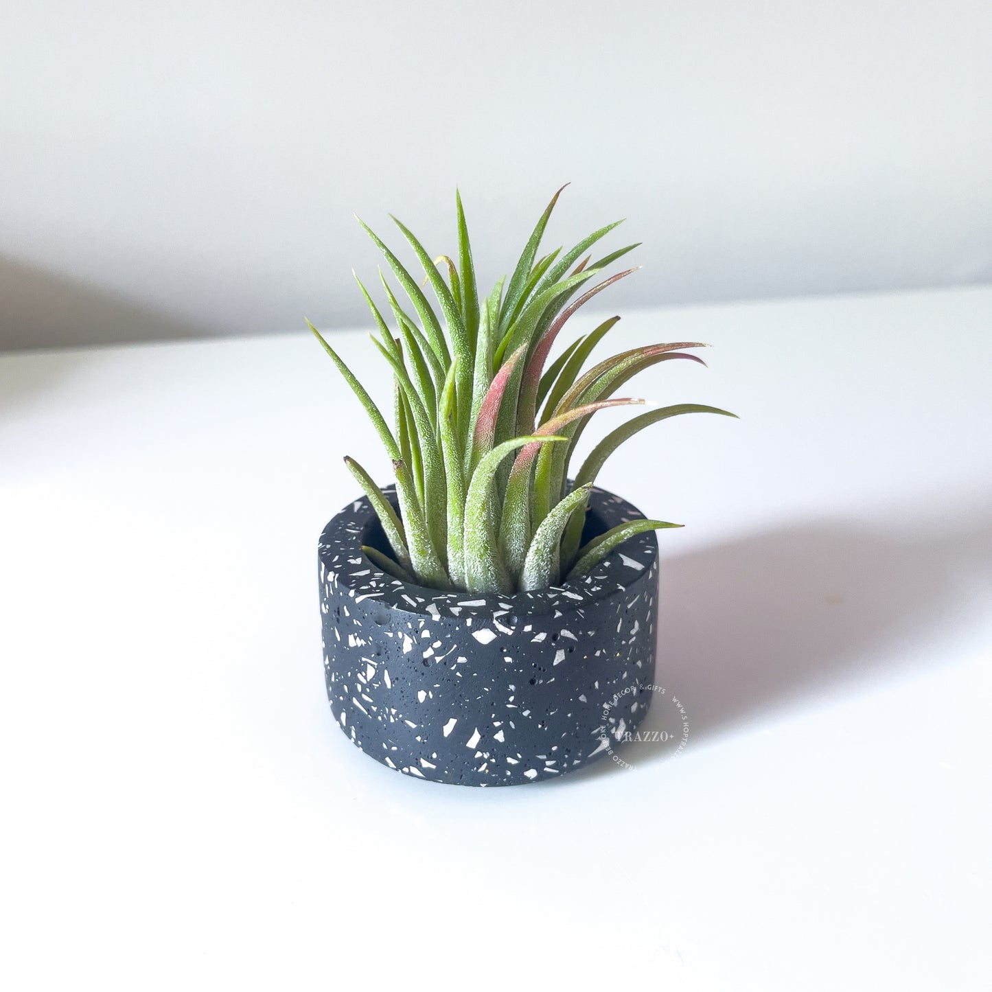Terrazzo Tealight Candle Holder | Air Plant & Succulent Holder image 0