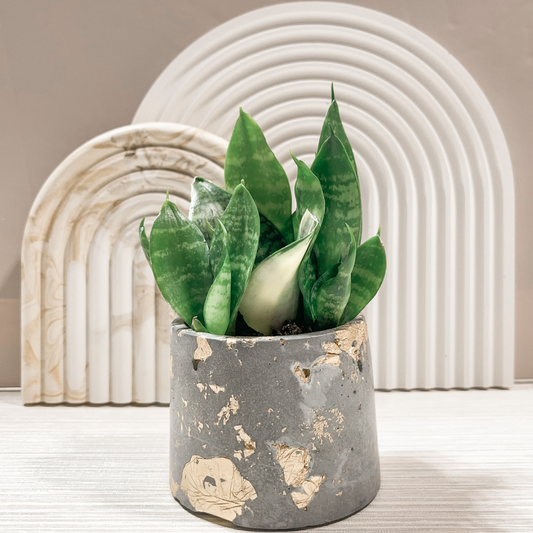 Industrial Vintage Planter image 0